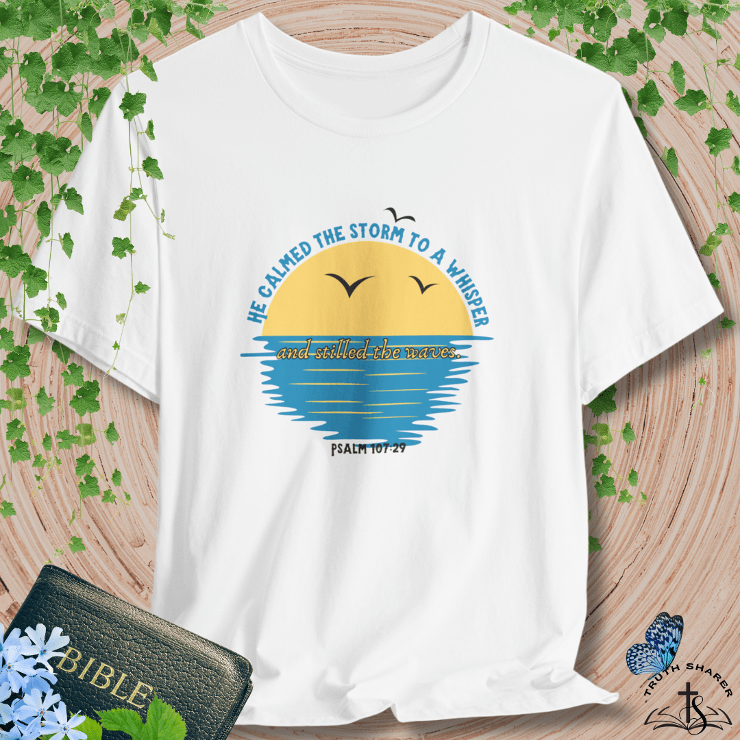 "He Calmed the Storm" T-Shirt