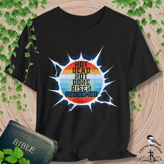 Risen & Redeemed Bella Canvas Vintage T-Shirt | 1 Peter Unisex Christian Tee