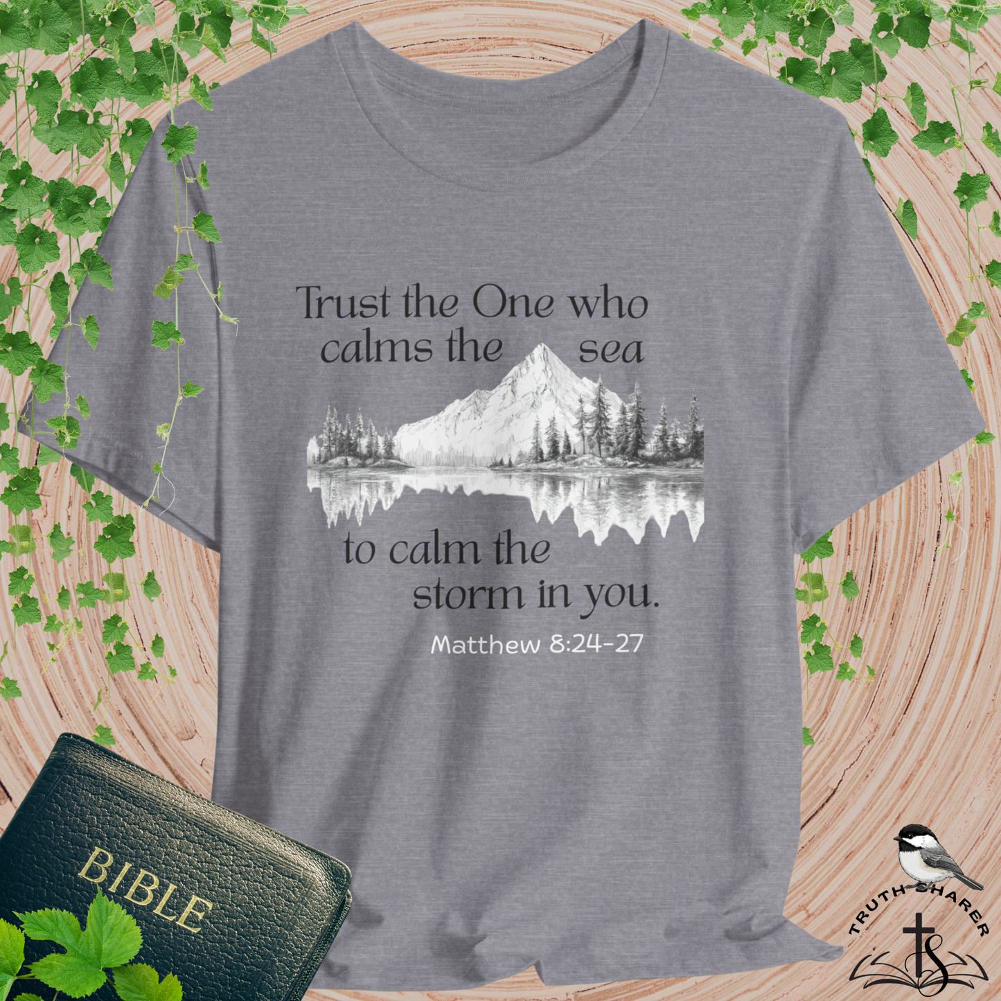 Calms the Storm Bella Canvas T-Shirt | Matthew 8:24-27 Scripture Tee